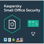 Kaspersky Small Office Security (10+1)